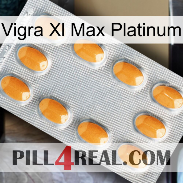 Vigra Xl Max Platinum cialis3.jpg